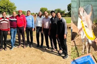 भीलवाड़ा: गौ माता की सेवा का महत्व बताते हुए चांडक