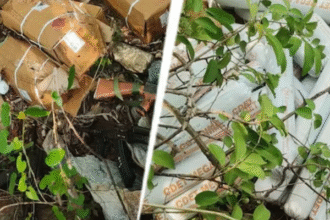 फरीदाबाद में भारी विस्फोटक बरामद, आरोपी डॉक्टर गिरफ्तार