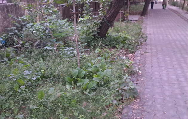 कोटा दक्षिण वार्ड 62 में कचरे और रोशनी की समस्या