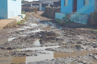 ग्राम पंचायतों में सफाई व्यवस्था की बिगड़ती हालत और बीमारियों का खतरा