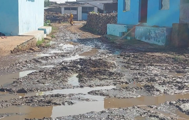 ग्राम पंचायतों में सफाई व्यवस्था की बिगड़ती हालत और बीमारियों का खतरा