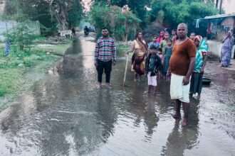 नयापाडा में नहर के पानी से बर्बाद हो रहे घर और खेत