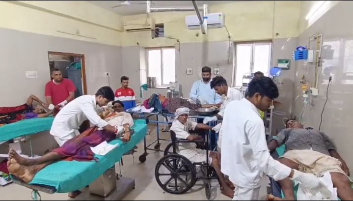 बांसवाड़ा में पागल कुत्ते के हमले से 35 लोग घायल