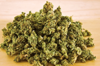 राजस्थान में नशे के खिलाफ पुलिस की बड़ी कार्रवाई