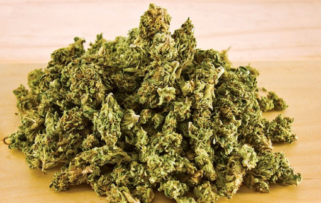 राजस्थान में नशे के खिलाफ पुलिस की बड़ी कार्रवाई