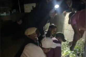 पालड़ी-एम गांव में मगरमच्छ का सफल रेस्क्यू किया गया