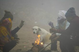 मध्य प्रदेश में ठंड से राहत की उम्मीद, IMD का अपडेट