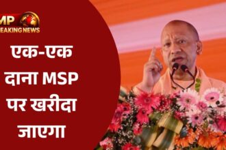 यूपी में धान खरीद की प्रक्रिया में तेजी, किसानों को मिलेंगे भुगतान