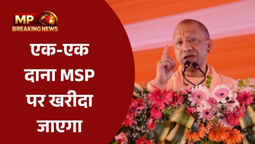 यूपी में धान खरीद की प्रक्रिया में तेजी, किसानों को मिलेंगे भुगतान