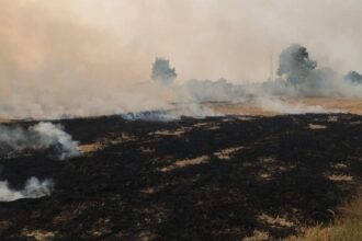 ग्वालियर में पराली जलाने पर 11 किसानों पर जुर्माना