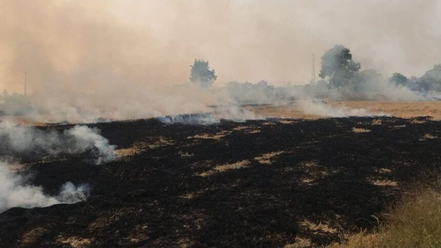 ग्वालियर में पराली जलाने पर 11 किसानों पर जुर्माना