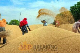 धान पंजीकरण की अवधि बढ़ी, 16 जिलों के किसानों को मिलेगा नया मौका