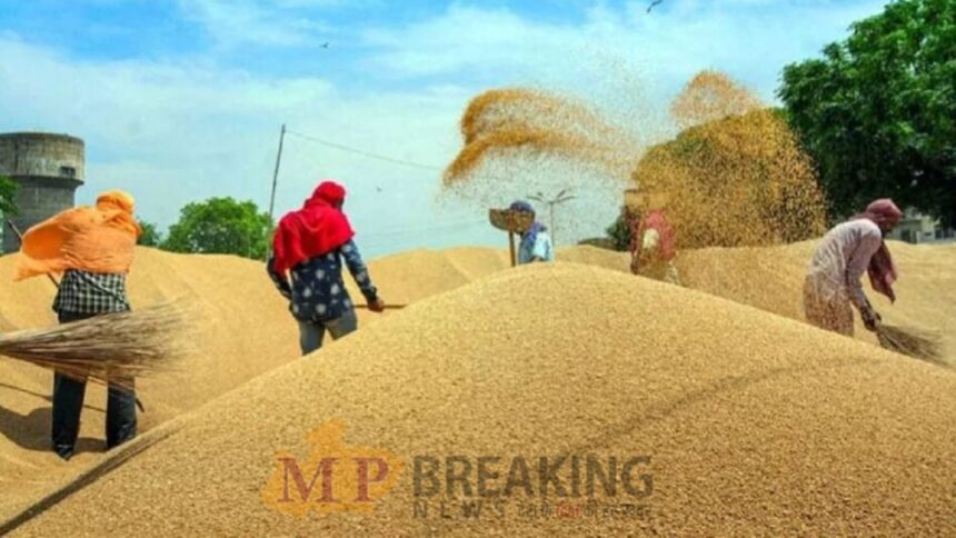 धान पंजीकरण की अवधि बढ़ी, 16 जिलों के किसानों को मिलेगा नया मौका