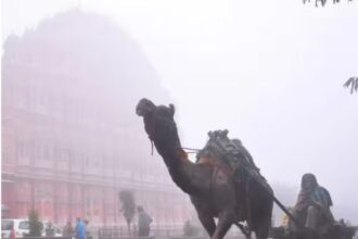 राजस्थान में 7 से 20 नवंबर के बीच मौसम कैसा रहेगा?