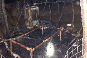 सवाई माधोपुर में दो नाबालिग बहनों की आग में जलने से मौत